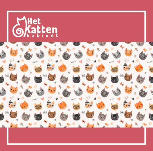 Steun_het_Kattenkabinet met een mondmasker