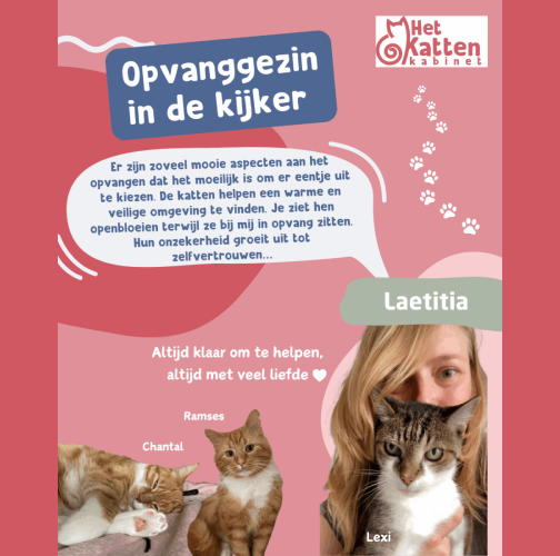 Laetitia_opvangmama_met_een_gouden_hart