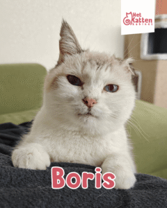 Boris