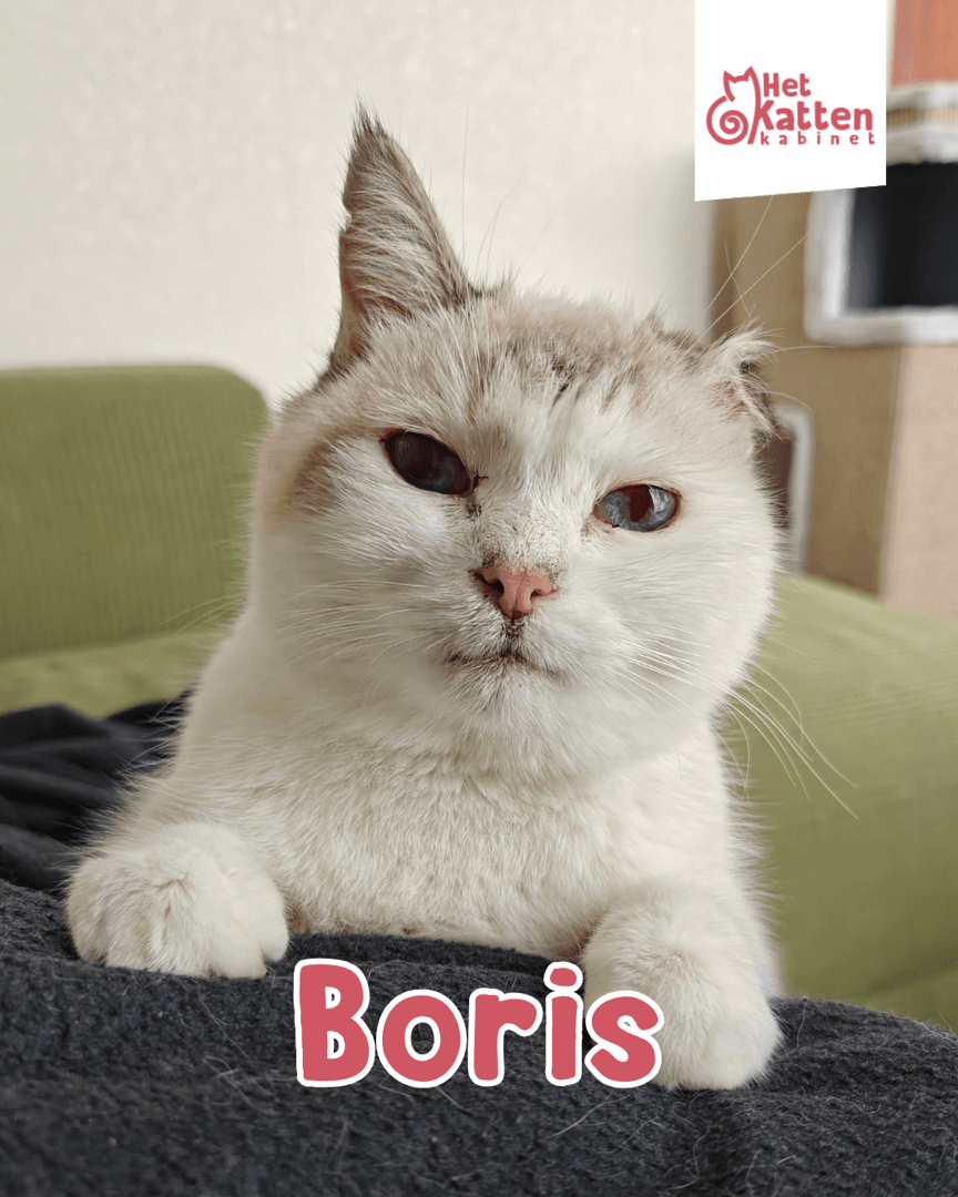 Boris