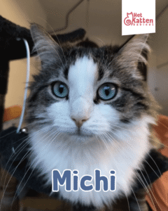 Michi