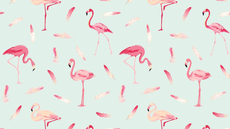 flamingo-cut-768x432