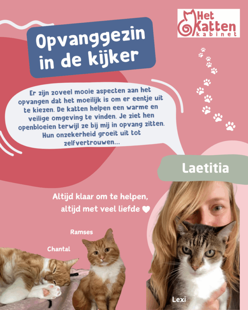 laetitia_1